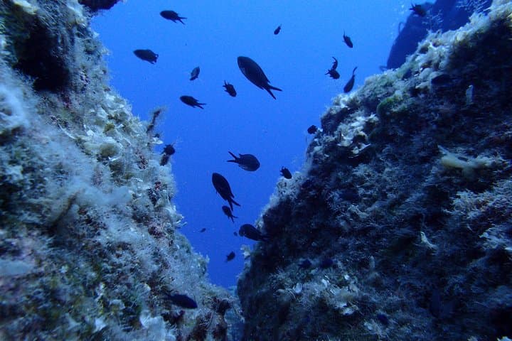Discover Scuba Diving in Lanzarote