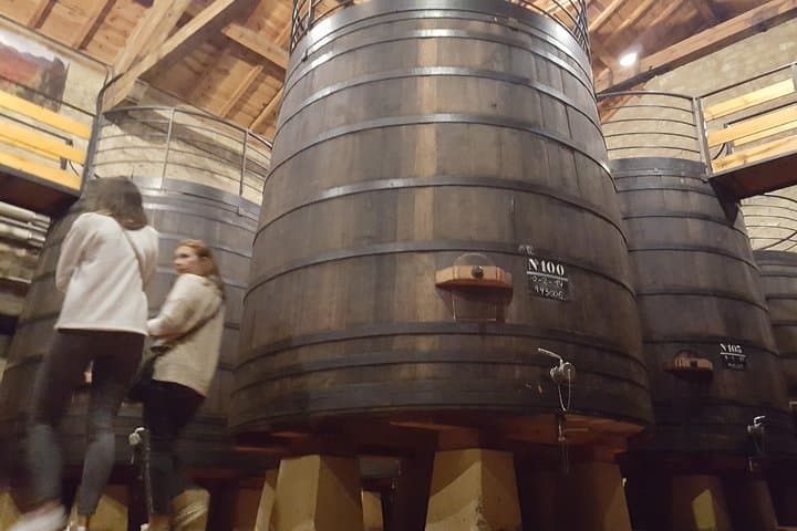 Rioja Full Experience Tour from San Sebastian with Lunch