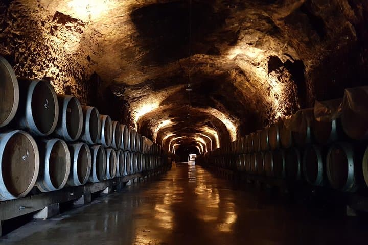 Rioja Full Experience Tour from San Sebastian with Lunch