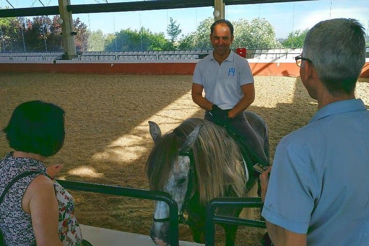Carthusian Stud private – Yeguada de la Cartuja