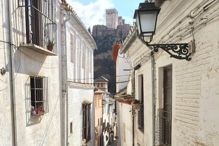 Alhambra and Albaycin Private Tour