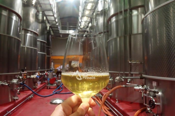 Musts in the cellar