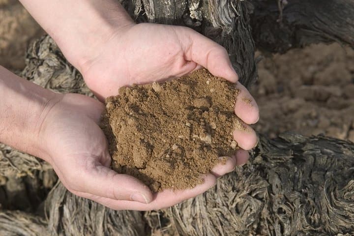 Terroir