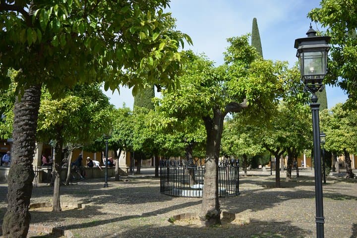 Private Tour of Cordoba Week Days 2 Hours Tickets included