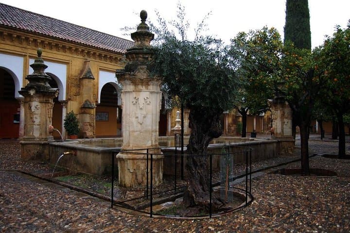 Mosque of Cordoba Private Tour in English Ticket included