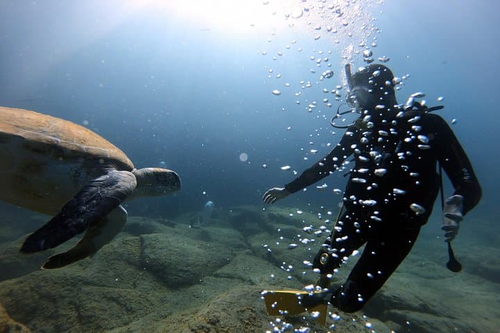 PADI Scuba Dive Course in Costa Adeje