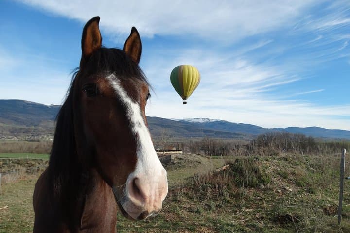 Exclusive Pyrenees Hot Air Balloon Barcelona