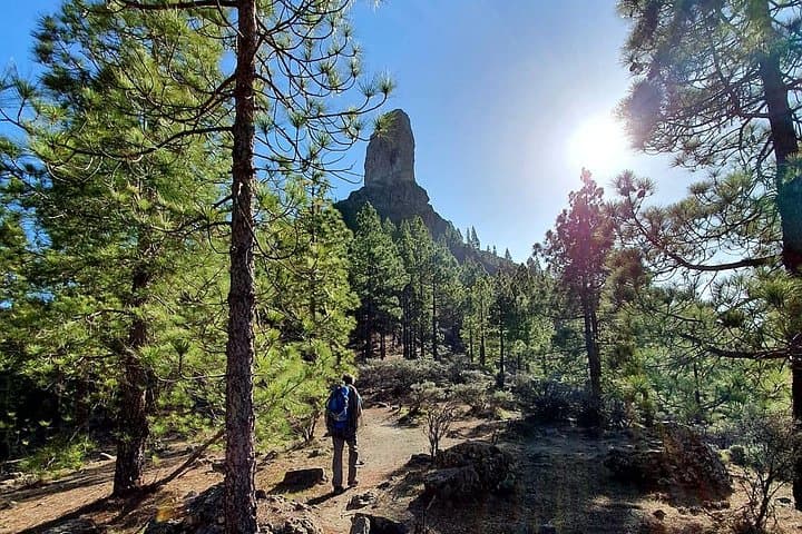 Professional climbing guide