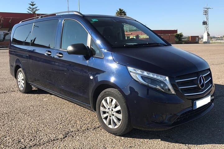 Roundtrip transfer by minivan from Seville to Granada