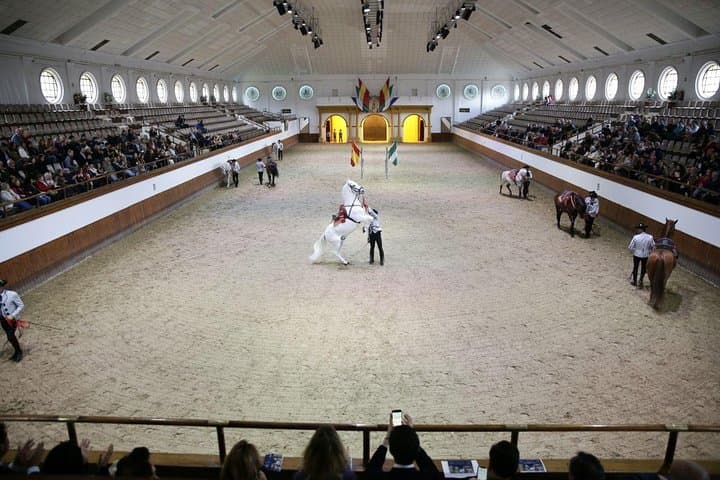 Equestrian Show and Winery in Jerez from Seville