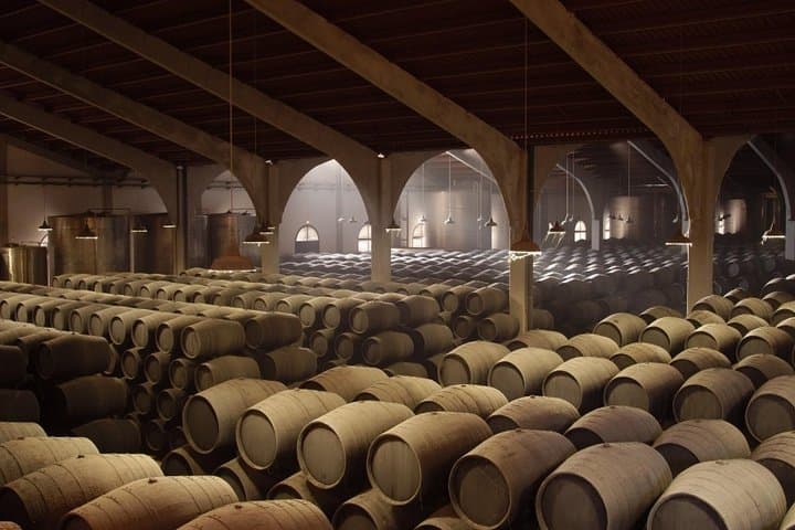 Equestrian Show and Winery in Jerez from Seville