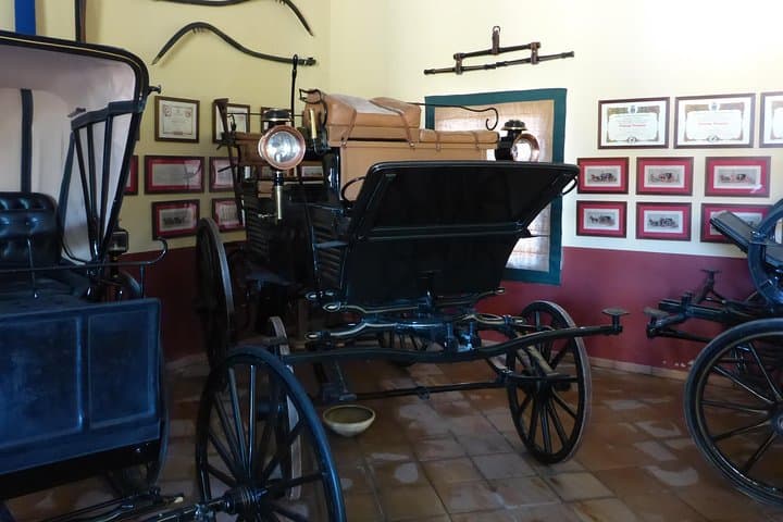Equestrian Show and Winery in Jerez from Seville
