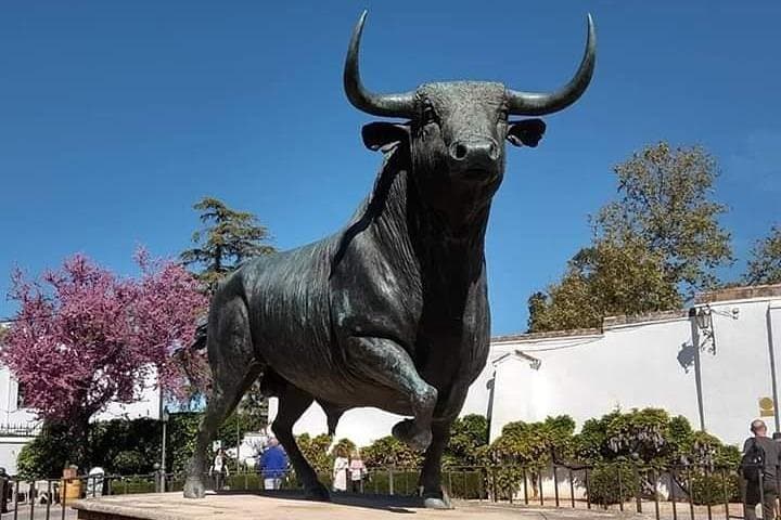 Monument to the fighting bull