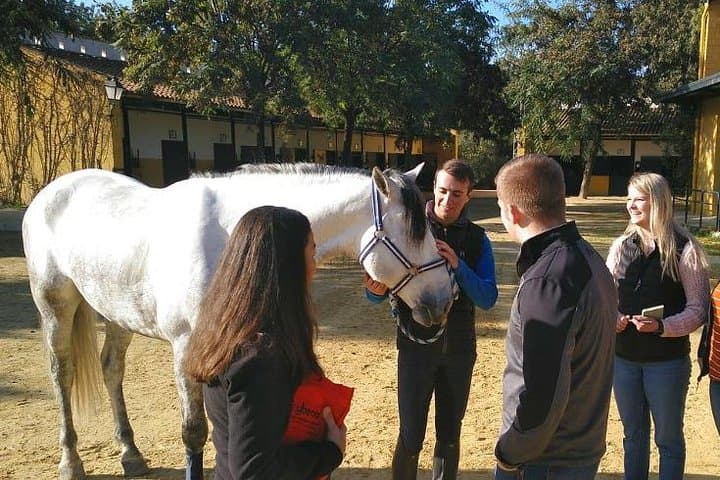 Carthusian Stud private – Yeguada de la Cartuja