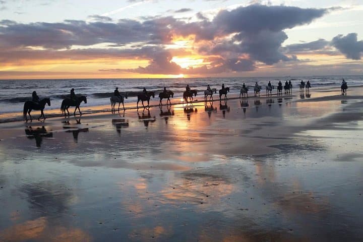 Horseback riding route through Doñana + visit to El Rocio-Private tour