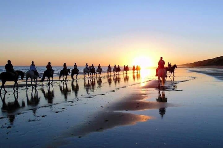 Horseback riding route through Doñana + visit to El Rocio-Private tour