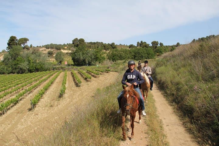 Horseback ride