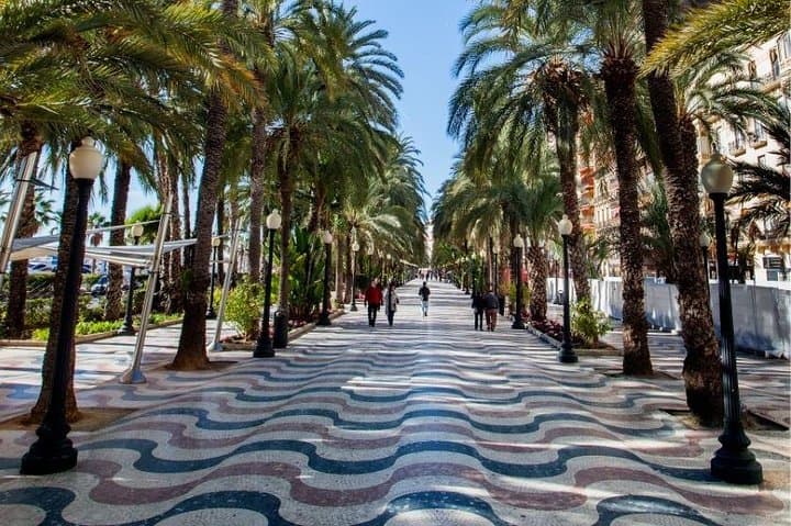 Highlights Alicante like a local