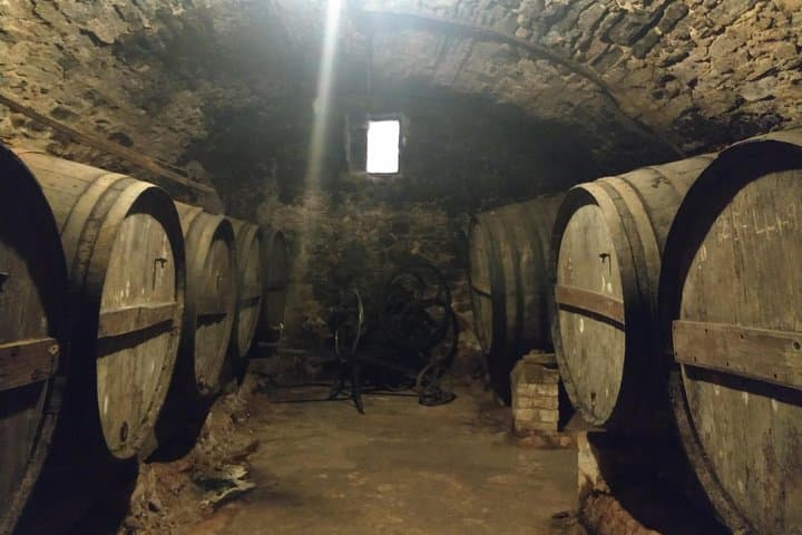 Half Day Private Wine & Oil Tasting Tour near Barcelona with hotel pick up