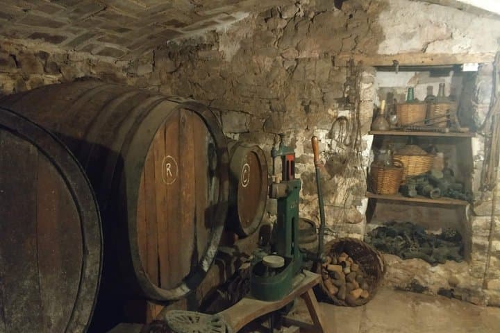 Half Day Private Wine & Oil Tasting Tour near Barcelona with hotel pick up