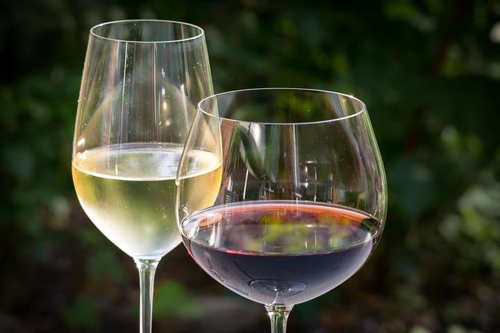 Wine Tasting Private Tour in Ribera del Duero from Madrid