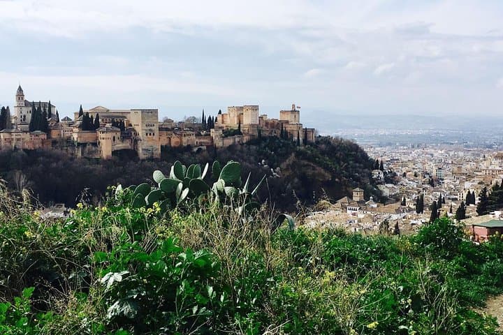 Alhambra private tour (without tickets) total/group Max 15 people