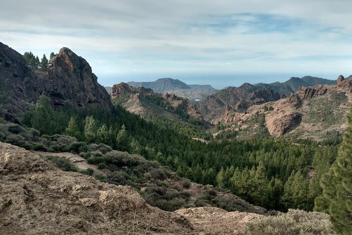 Guided tour: Discover Gran Canaria