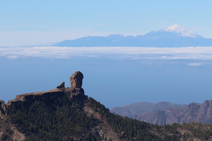 Guided tour: Discover Gran Canaria