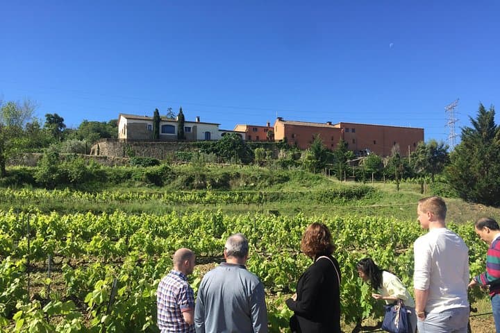 Montserrat & best winery private tour experience with a local expertise