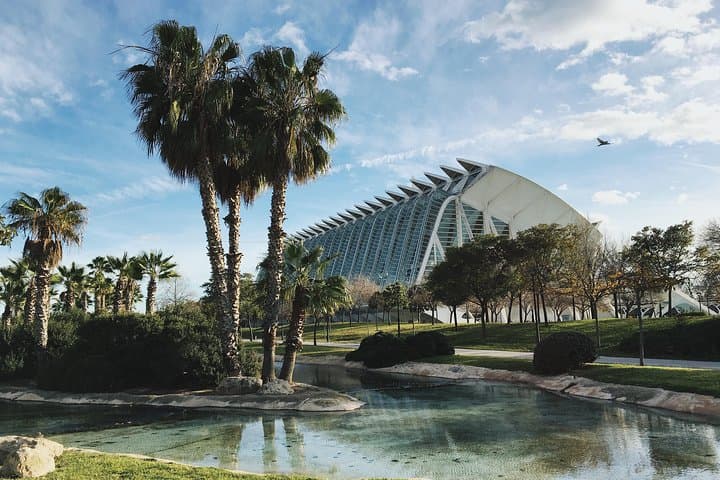 Discover Valencia’s most Photogenic Spots with a Local