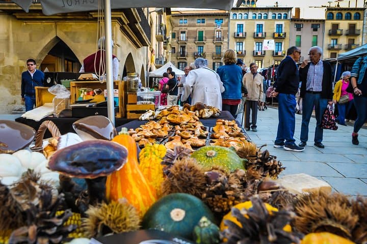 Pyrenees & Medieval Towns Small Group Tour from Barcelona