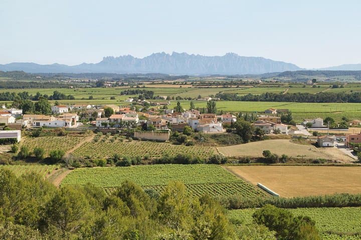 Food and Wine Small Group Tour from Barcelona - Maximum 8 people