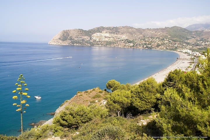 Caves of Nerja with Tropical Coast Private Tour from Granada