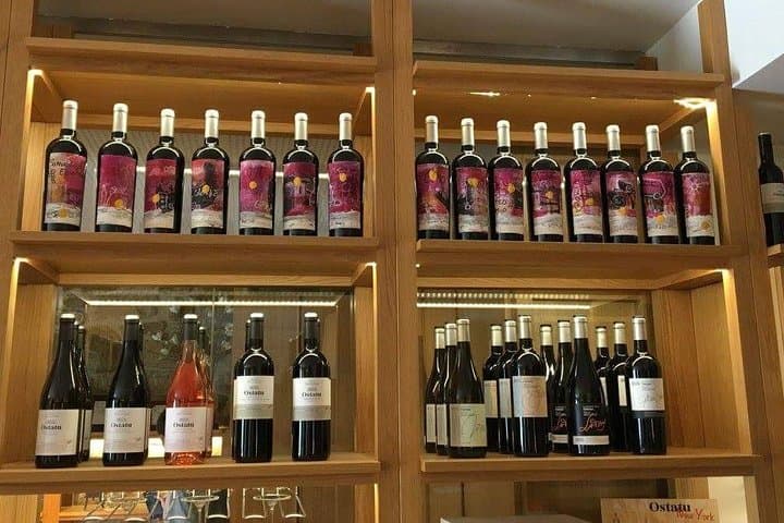 Rioja winery hopping tour from San Sebastian