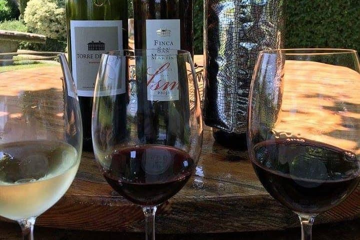 Rioja winery hopping tour from San Sebastian