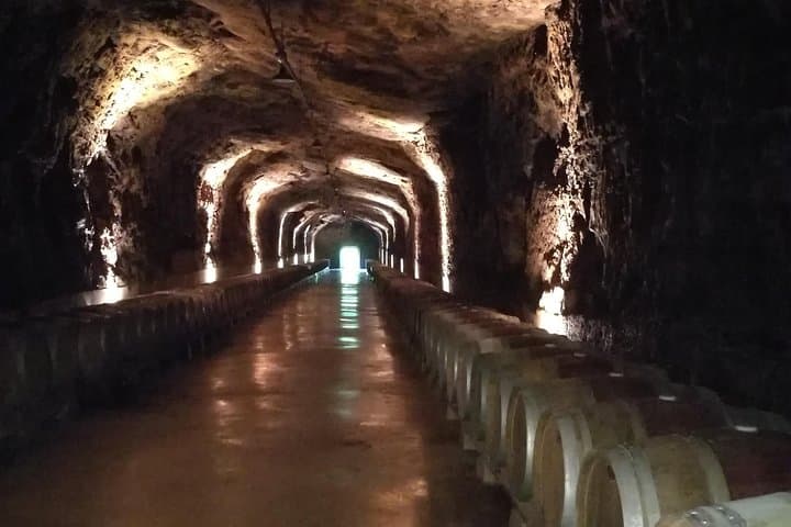 Rioja winery hopping tour from San Sebastian
