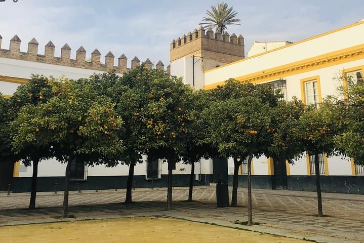 Seville Highlights Private Walking Tour