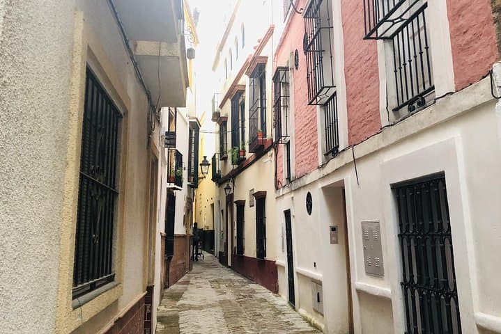 Seville Highlights Private Walking Tour