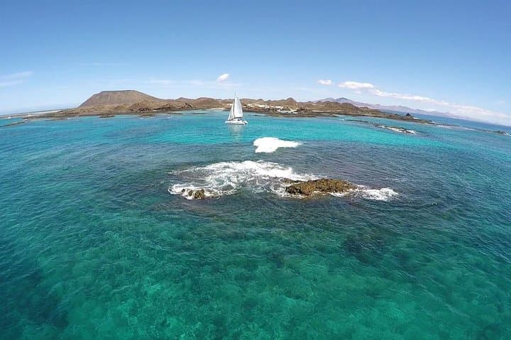 Exclusive Sailing Catamaran Experience to Lobos Island with lunch