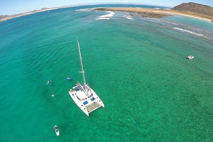 Exclusive Sailing Catamaran Experience to Lobos Island with lunch