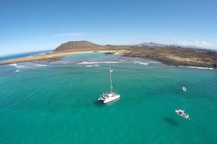 Exclusive Sailing Catamaran Experience to Lobos Island with lunch