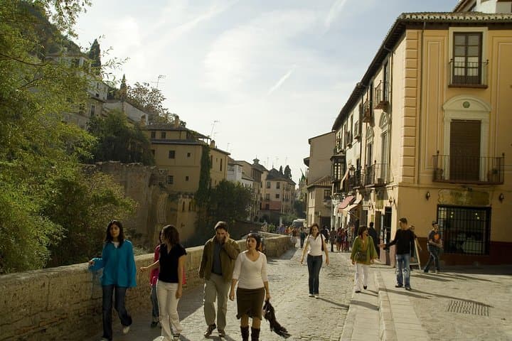 Granada Private Walking Tour with Cathedral & Royal Chapel