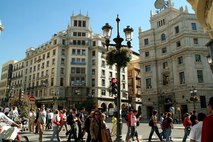 Granada Private Walking Tour with Cathedral & Royal Chapel