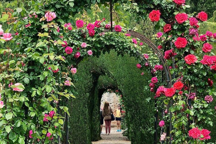 Alhambra Private Tour from Marbella: with Transport and skip-the-line tickets