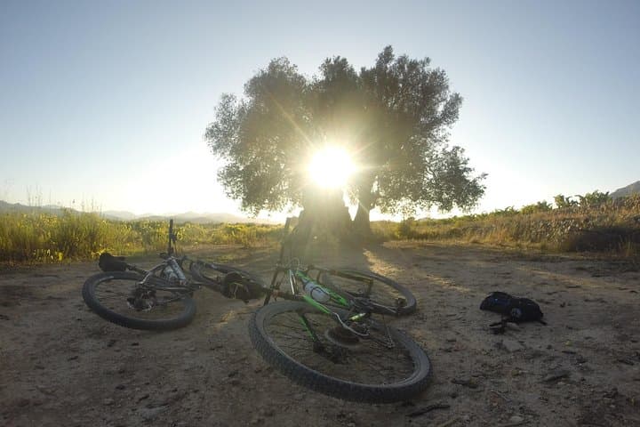 Guided mountain bike route - "Pata Negra" Tour