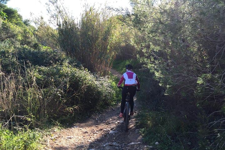 Guided mountain bike route - "Pata Negra" Tour