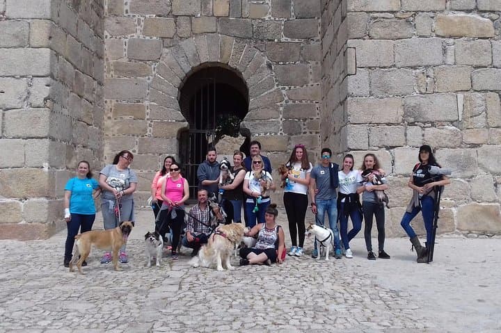 TRON OF THRONES GUIDED VISIT! We are not encyclopedias with legs!