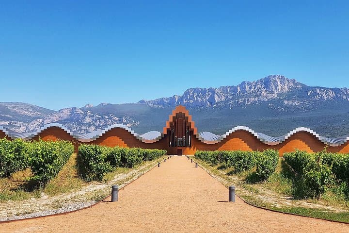 Rioja Wine Route with winery owner