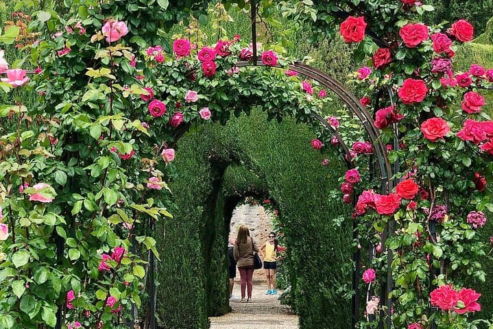 Alhambra Private Tour from Malaga: with transport and skip-the-line-tickets