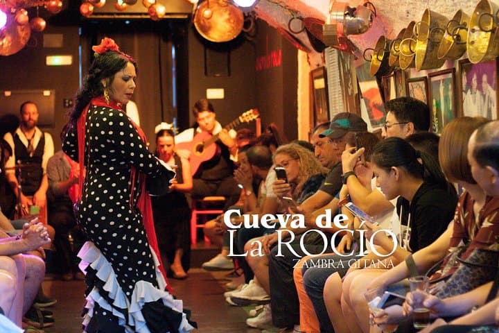 Flamenco Show in Granada